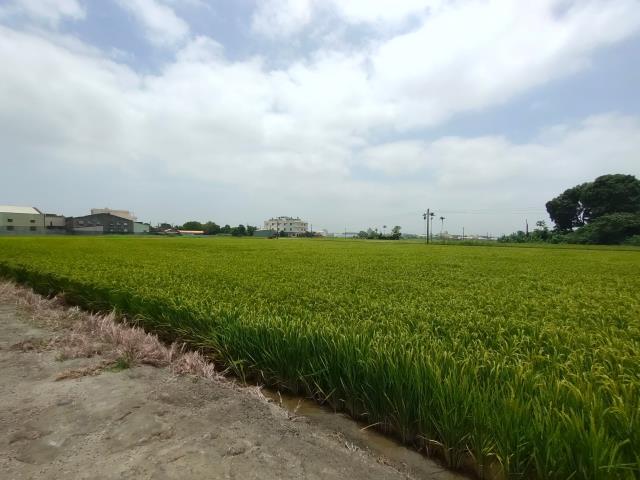 彰化溪湖農地-5