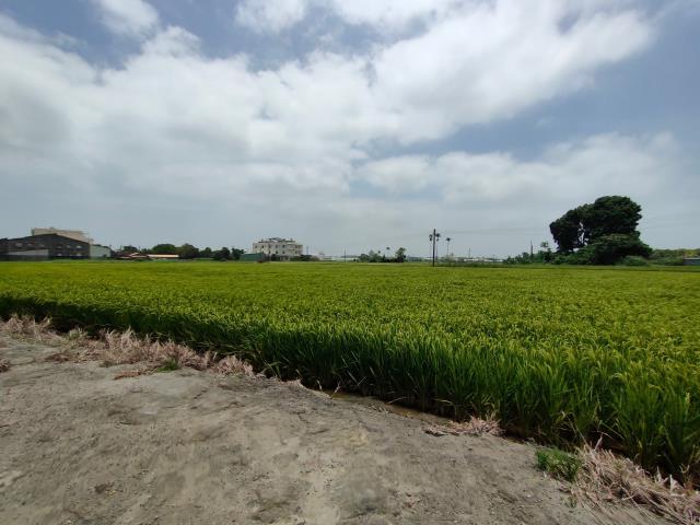 彰化溪湖農地-6