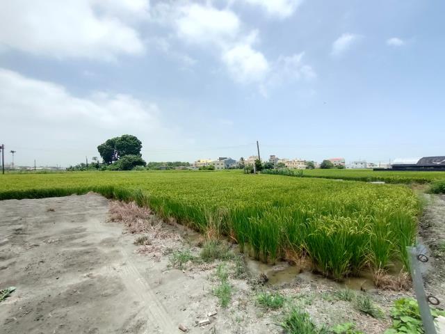 彰化溪湖農地-7