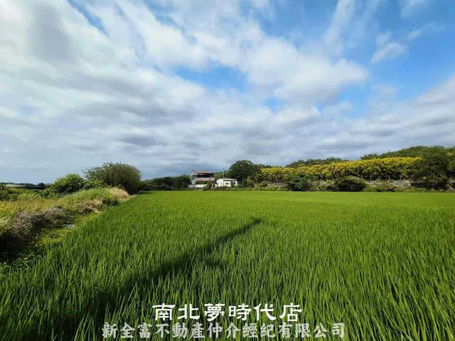 台南六甲農地-10