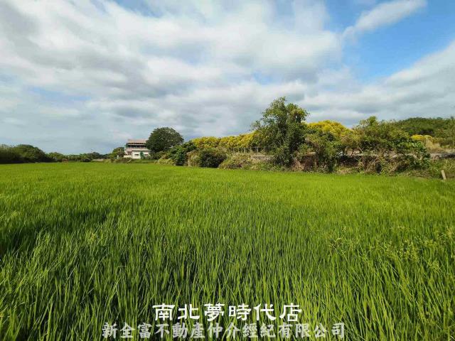 台南六甲農地-9