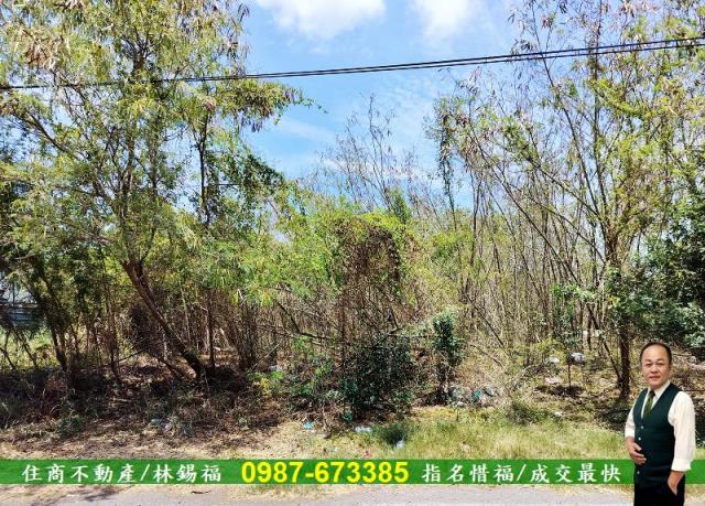 安南農地-2
