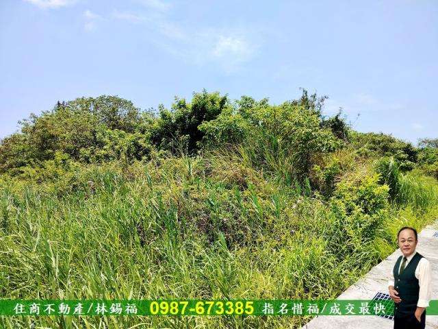 安南農地-6