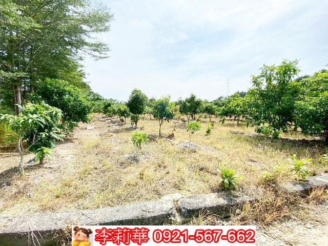 官田農地-12