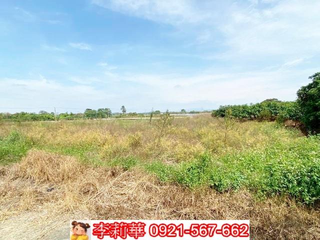 官田農地-13