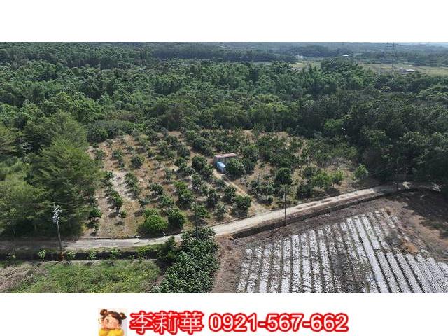官田農地-2
