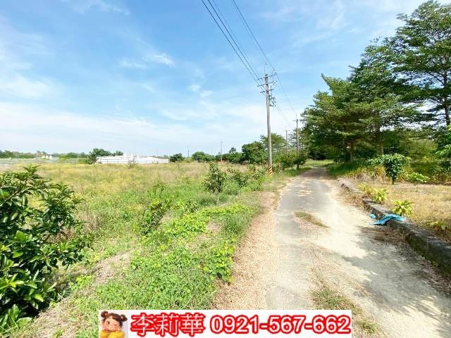 官田農地-4