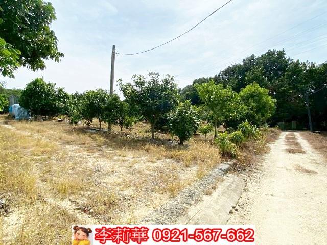 官田農地-6