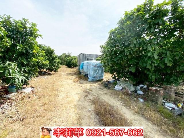 官田農地-8