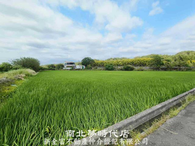 六甲農地-4