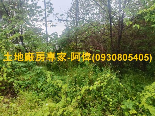 屏東工業地-1
