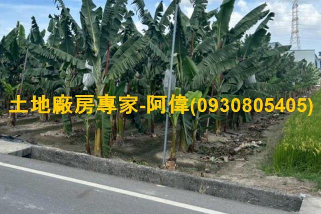 高雄農地-1