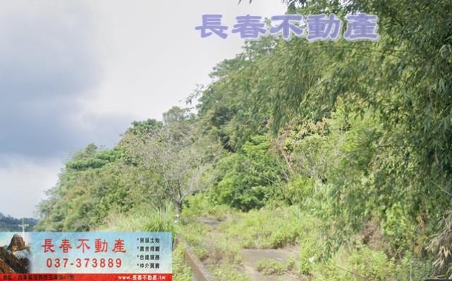 西湖農地-1