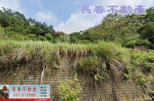 西湖農地-2