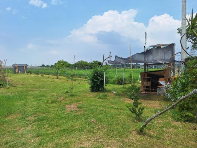 台南官田農地-6