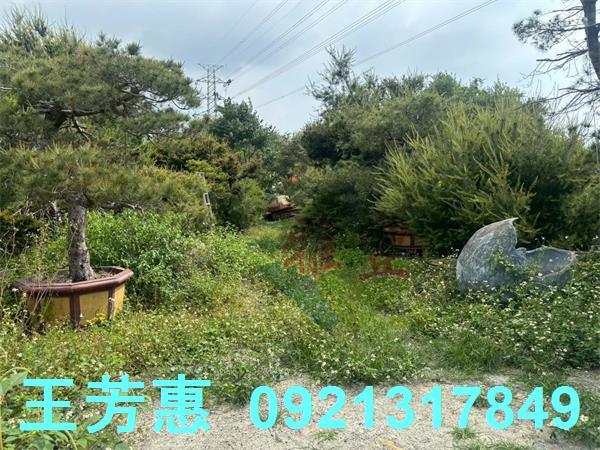 豐原農地-2