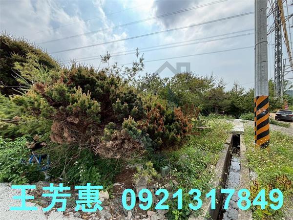 豐原農地-3