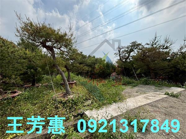 豐原農地-4