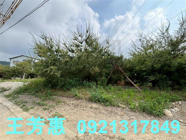 豐原農地-6