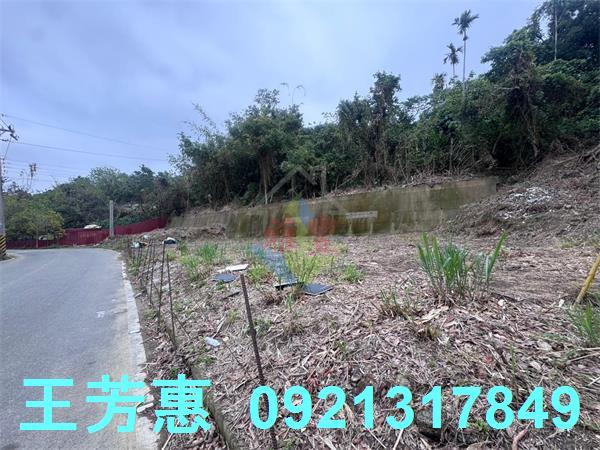 豐原工業地-12