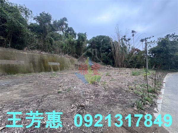 豐原工業地-6