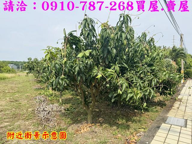 台南農地-6