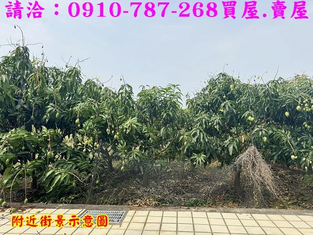 台南農地-9