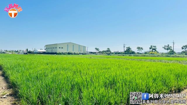 嘉義農地-1