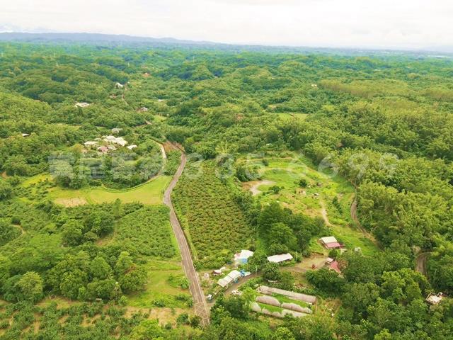 新化農地-3