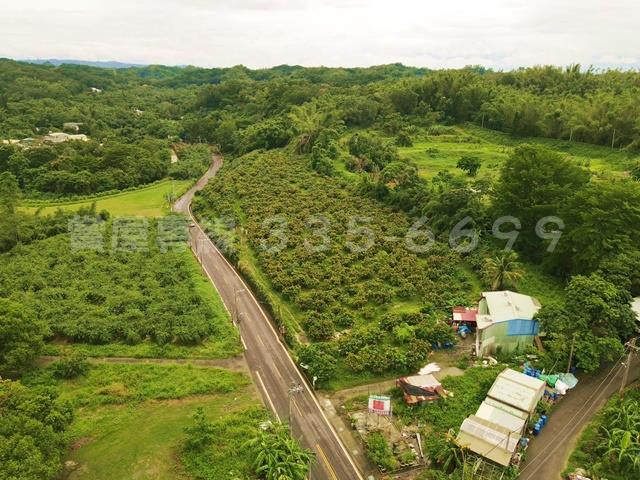 新化農地-5