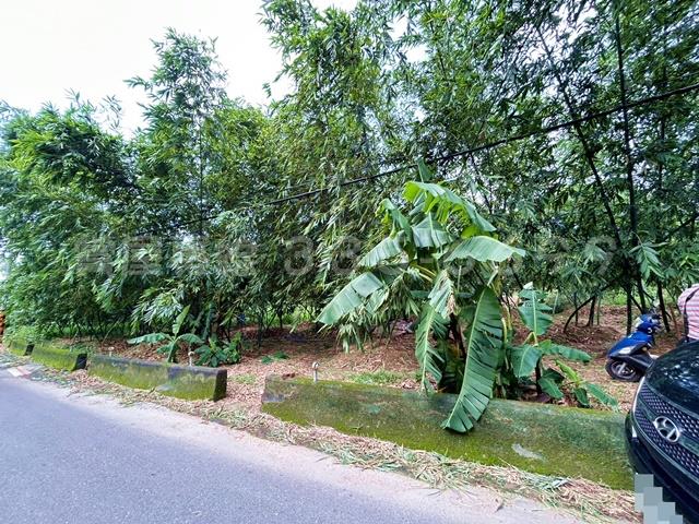 新化農地-6