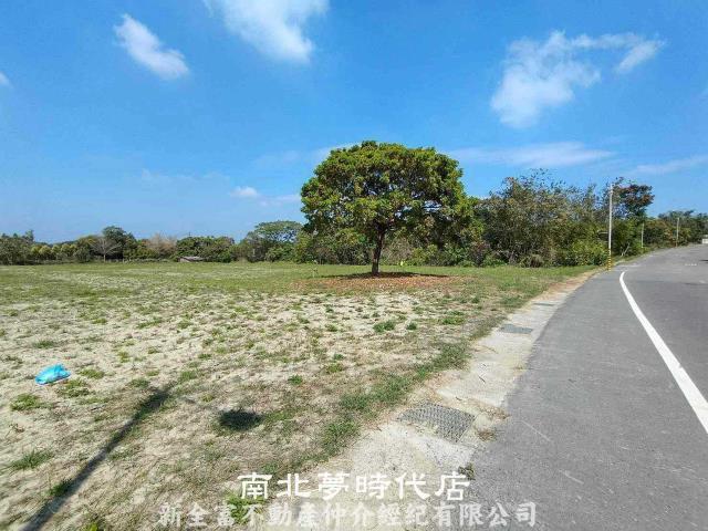 六甲農地-10