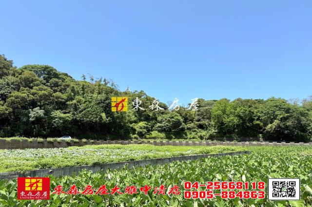 台中大雅農地-2