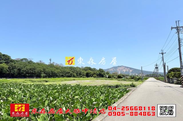 台中大雅農地-3