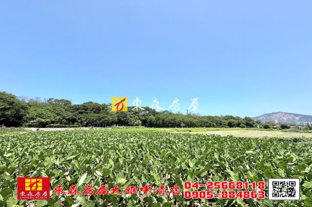 台中大雅農地-4