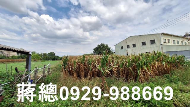台南新市農地-3