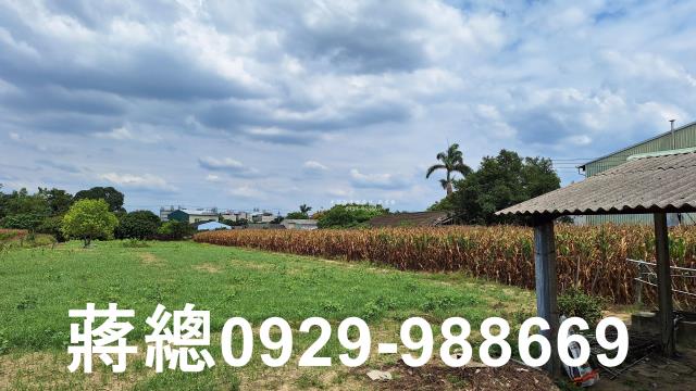台南新市農地-4