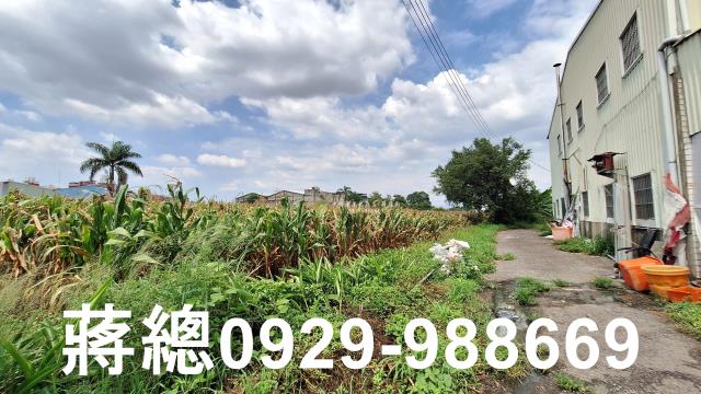 台南新市農地-8
