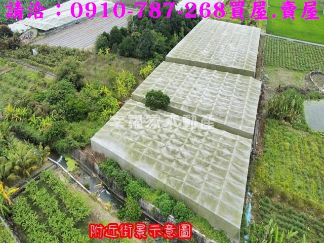 旗山農地-3