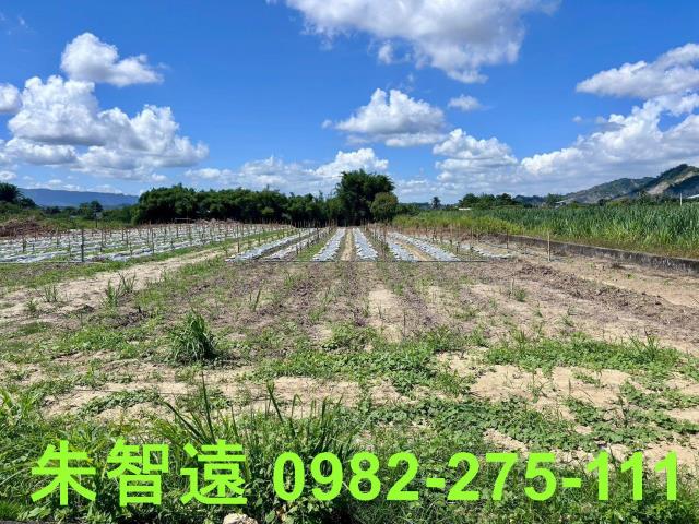 玉井農地-1