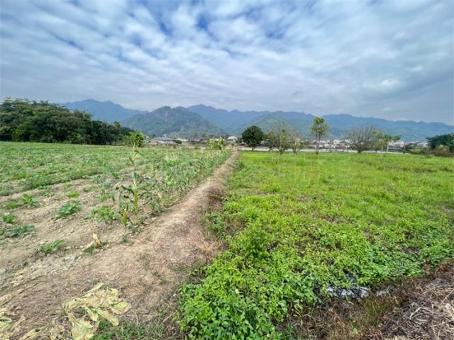 美濃農地-4