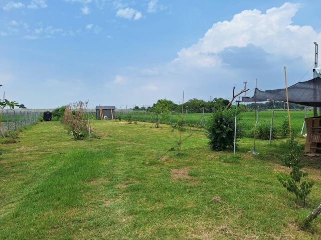 官田農地-8