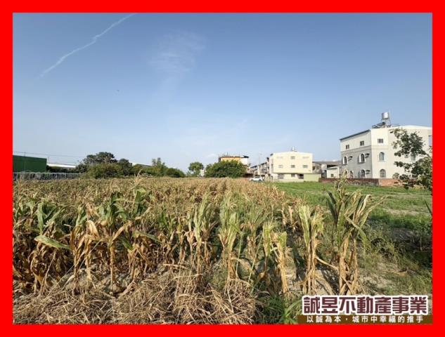 台南農地-2