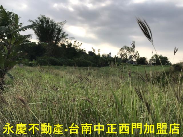 左鎮農地-1
