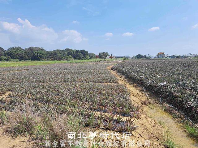台南關廟農地-1