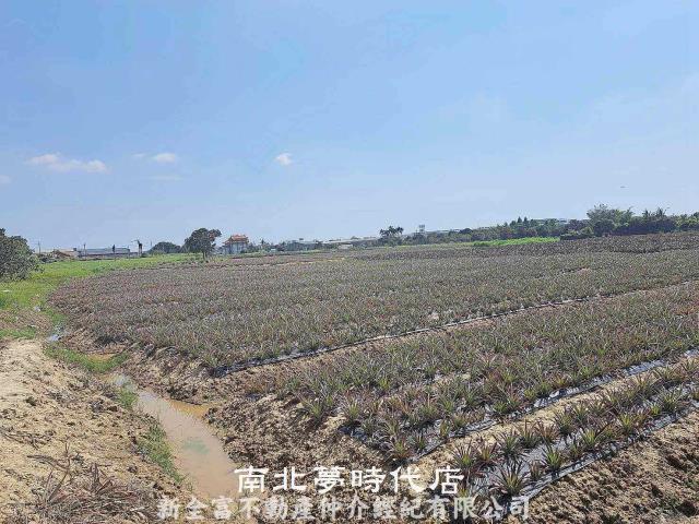 台南關廟農地-5