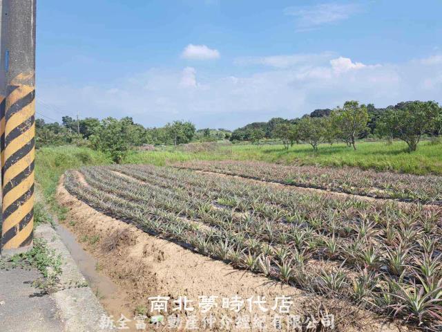 台南關廟農地-8