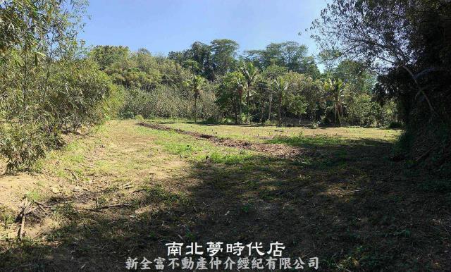 台南新化農地-3