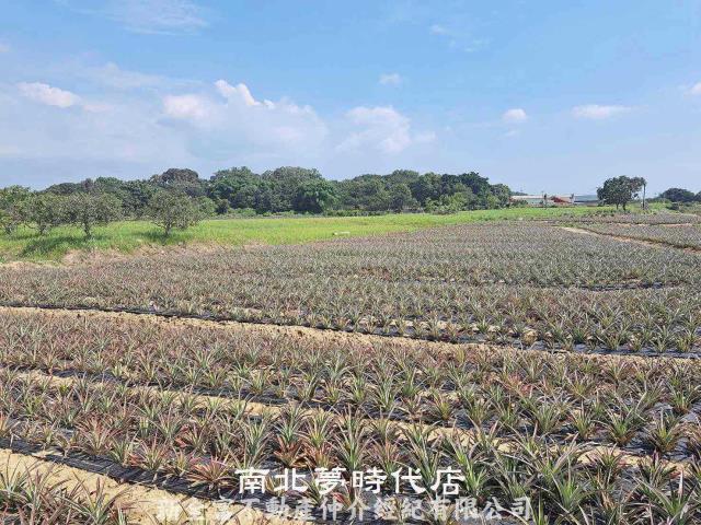 關廟農地-3