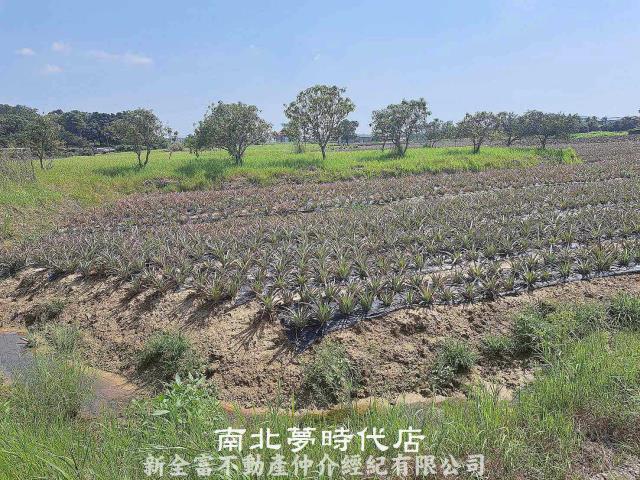 關廟農地-7